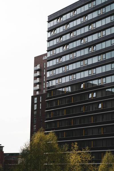 pexels-szymon-shields-1503561-7872012